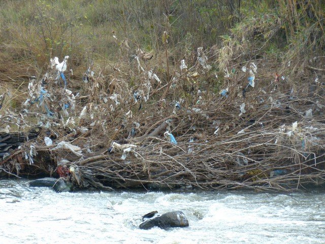 проблема загрязнения пластиковыми отходами